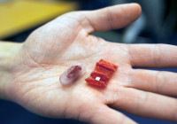 This origami robot can retrieve the batteries you swallow