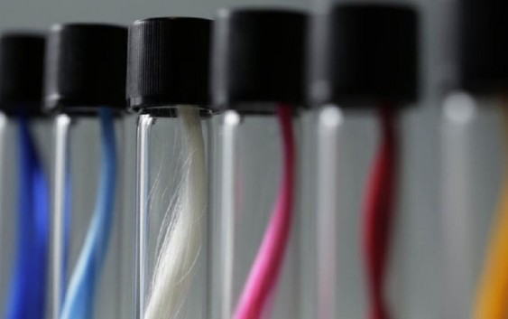 Japan startup spins profitable future for synthetic spider silk Japan startup spins profitable future for synthetic spider silk