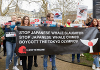 #BoycottJapan movement highlights reactions from both South Korea and the international community to Japan’s commercial decisions